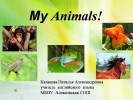 Animals (2 класс)