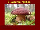 В царстве грибов (3 класс)